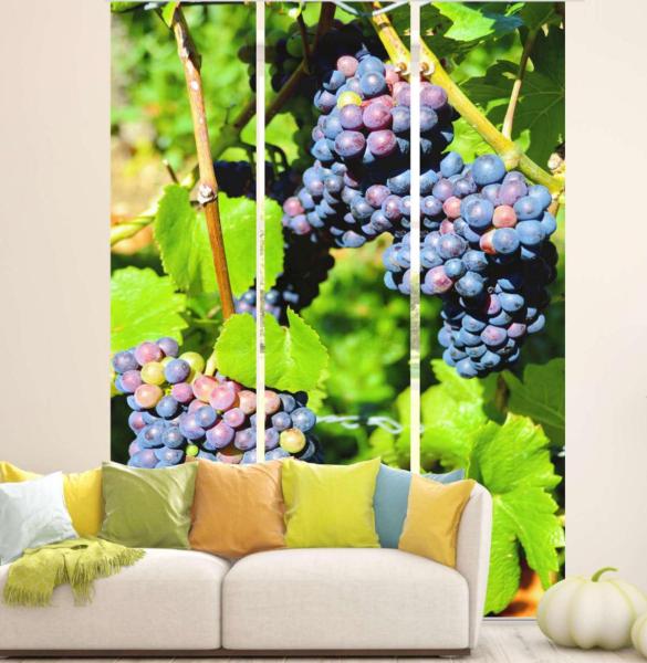 Flächenvorhang Die Rebe 3er Set, Schiebegardine, Schiebegardinen, blickdicht, Flächenvorhang blickdicht, Schiebevorhang,